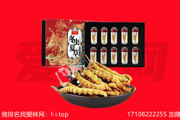 滨海新区回收虫草.jpg